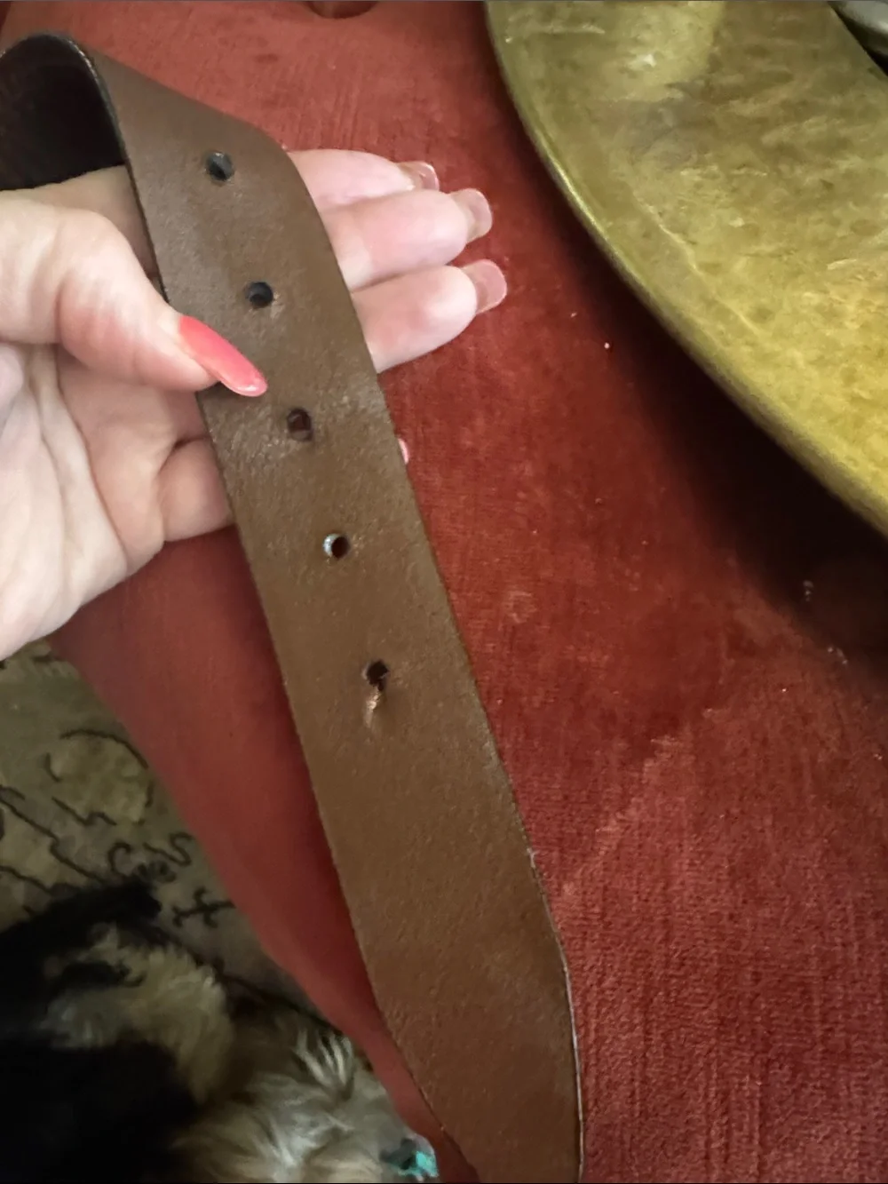 Columbia Brown Leather Casual Belt with Dark Buckle